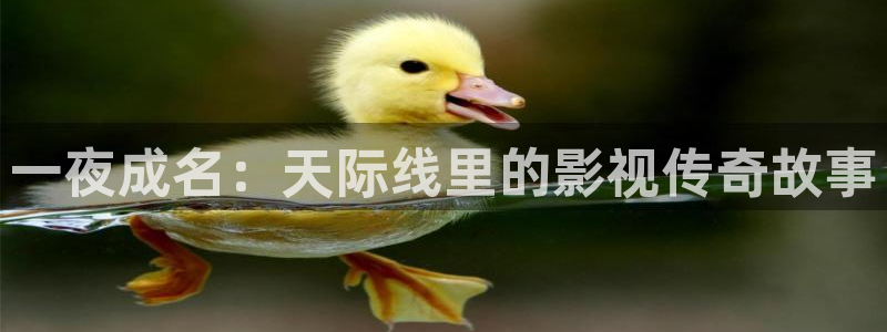 大地资源二中文在线影视免费观看：一夜成名：天际线里的影视传奇故事