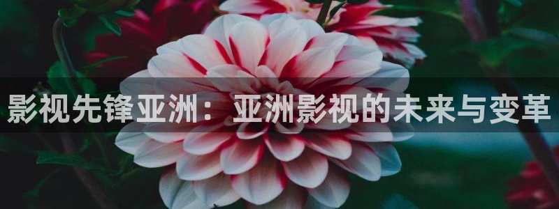 佛山大地影院：影视先锋亚洲：亚洲影视的未来与变革