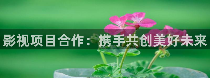 青苹果乐园手机高清免费大地资源：影视项目合作：携手共创美好未来