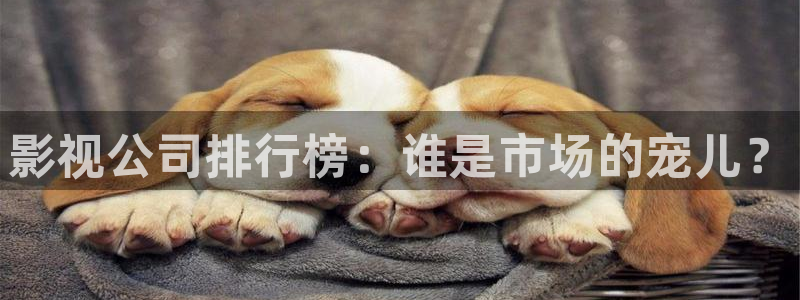 大地视频免费播放完整版：影视公司排行榜：谁是市场的宠儿？