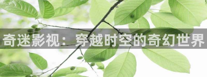 大地资源在线观看高清10：奇迷影视：穿越时空的奇幻世界