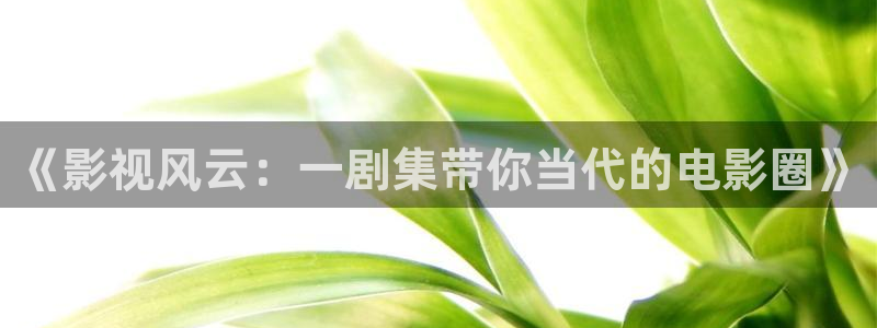 大地第二资源在线播放免费观看：《影视风云：一剧集带你当代的电影圈》